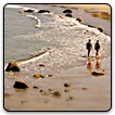 Tilt Shift.