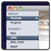 Web Export.